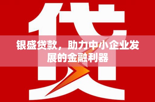 进贤银盛贷款，助力中小企业发展的金融利器