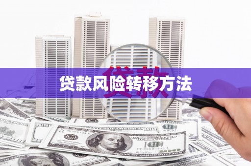 进贤贷款风险转移方法