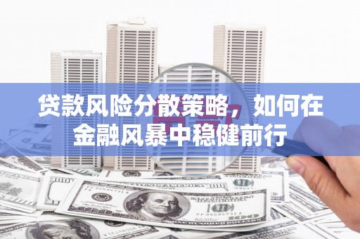 进贤贷款风险分散策略，如何在金融风暴中稳健前行
