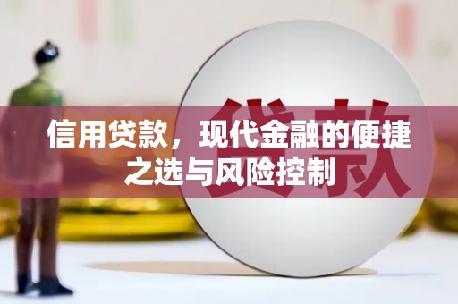 进贤信用贷款，现代金融的便捷之选与风险控制