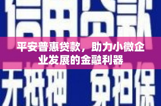 进贤平安普惠贷款，助力小微企业发展的金融利器