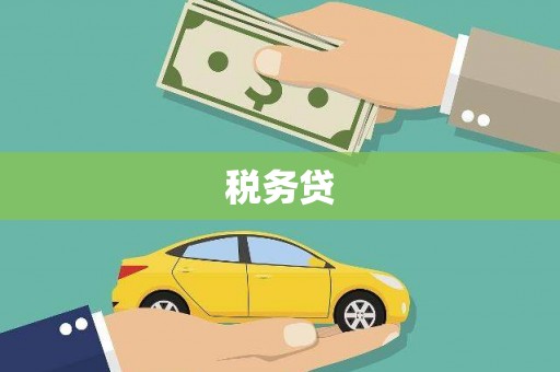 进贤税务贷
