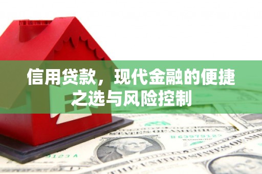进贤信用贷款，现代金融的便捷之选与风险控制
