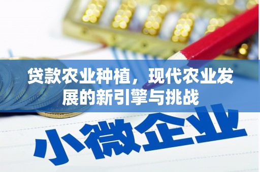 进贤贷款农业种植，现代农业发展的新引擎与挑战