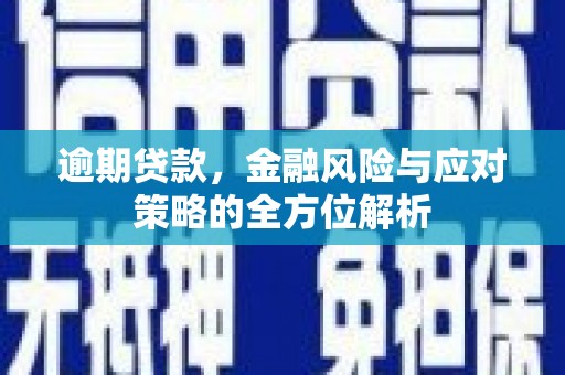 进贤逾期贷款，金融风险与应对策略的全方位解析
