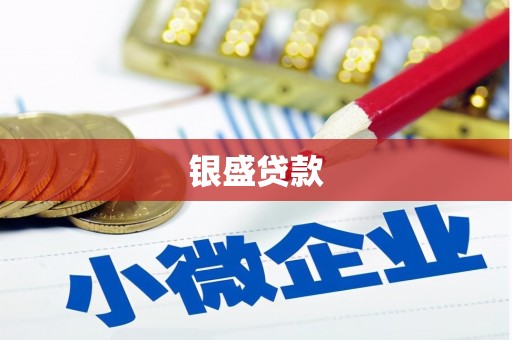 进贤银盛贷款