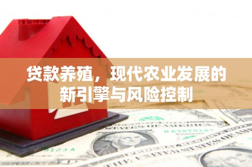 进贤贷款养殖，现代农业发展的新引擎与风险控制