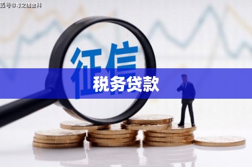 进贤税务贷款
