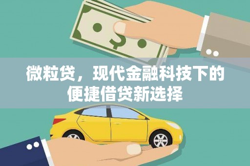 进贤微粒贷，现代金融科技下的便捷借贷新选择