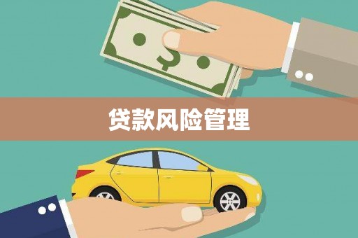 进贤贷款风险管理