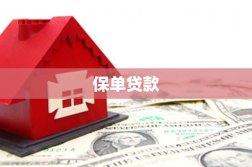 进贤保单贷款