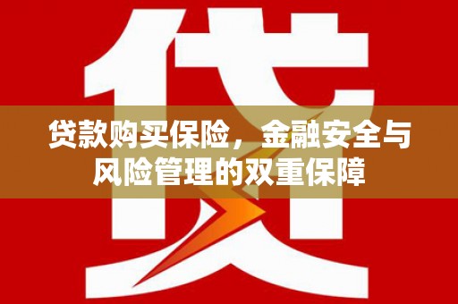 进贤贷款购买保险，金融安全与风险管理的双重保障