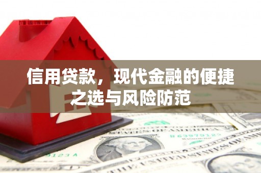 进贤信用贷款，现代金融的便捷之选与风险防范