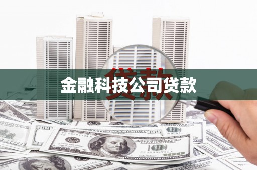 进贤金融科技公司贷款