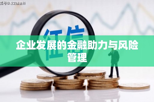 进贤企业发展的金融助力与风险管理