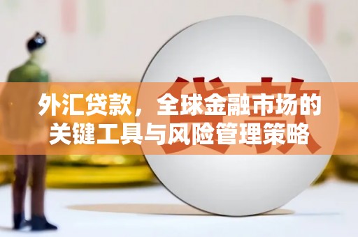 进贤外汇贷款，全球金融市场的关键工具与风险管理策略