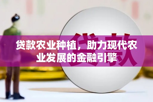 进贤贷款农业种植，助力现代农业发展的金融引擎