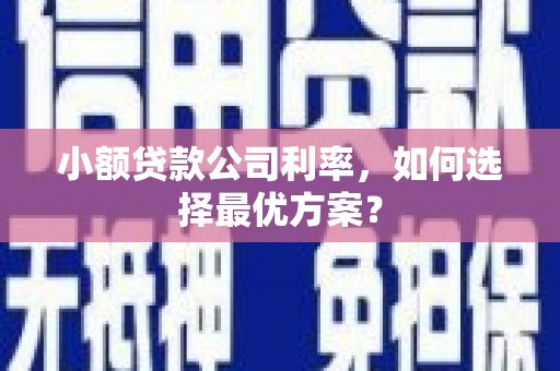 进贤小额贷款公司利率，如何选择最优方案？