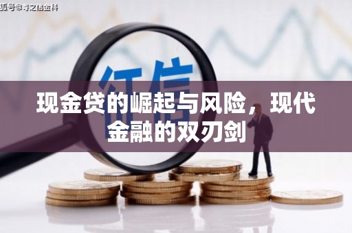 进贤现金贷的崛起与风险，现代金融的双刃剑