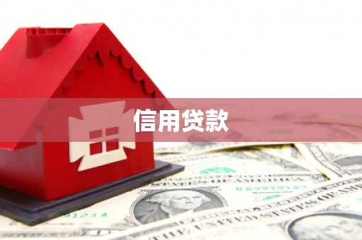 进贤信用贷款