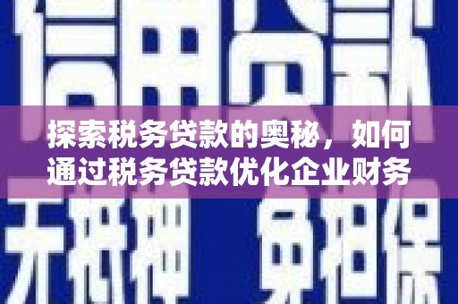 进贤探索税务贷款的奥秘，如何通过税务贷款优化企业财务