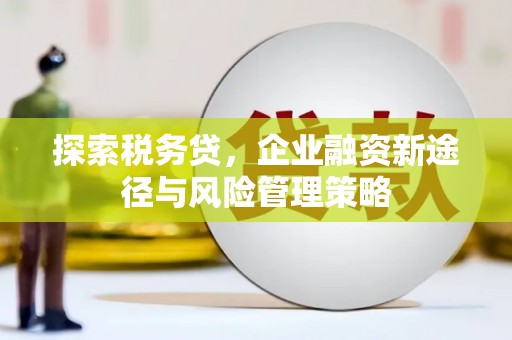 进贤探索税务贷，企业融资新途径与风险管理策略