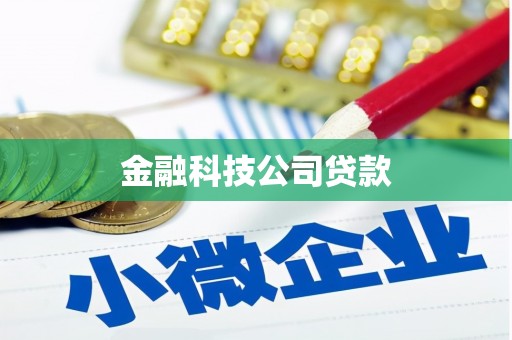 进贤金融科技公司贷款