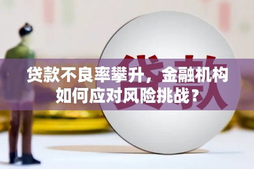 进贤贷款不良率攀升，金融机构如何应对风险挑战？