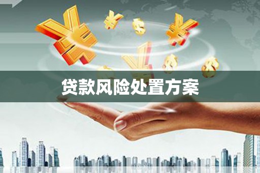 进贤贷款风险处置方案
