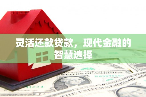 进贤灵活还款贷款，现代金融的智慧选择