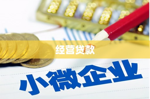 进贤经营贷款