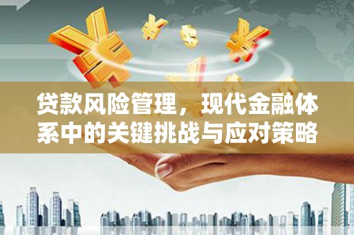进贤贷款风险管理，现代金融体系中的关键挑战与应对策略