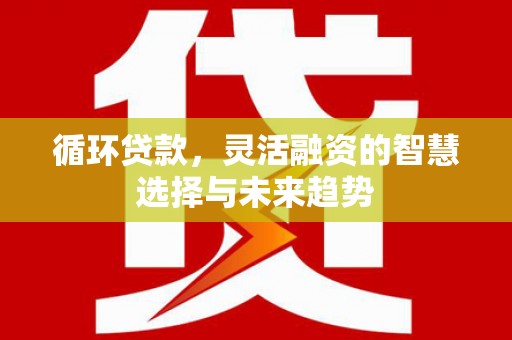 进贤循环贷款，灵活融资的智慧选择与未来趋势