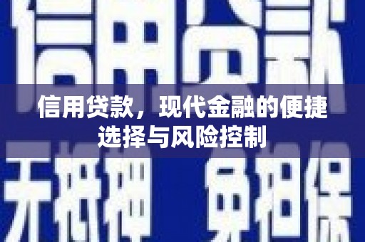 进贤信用贷款，现代金融的便捷选择与风险控制