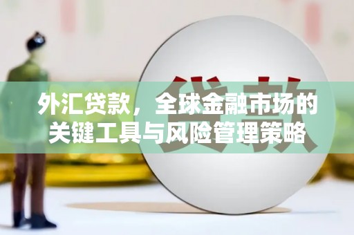 进贤外汇贷款，全球金融市场的关键工具与风险管理策略