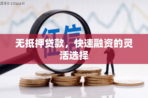 进贤无抵押贷款，快速融资的灵活选择