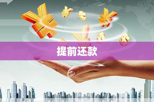 进贤提前还款