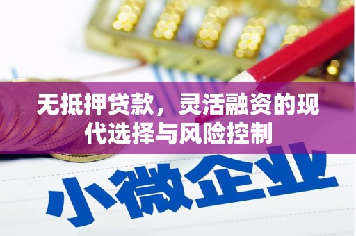 进贤无抵押贷款，灵活融资的现代选择与风险控制
