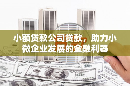 进贤小额贷款公司贷款，助力小微企业发展的金融利器