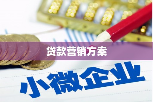 进贤贷款营销方案