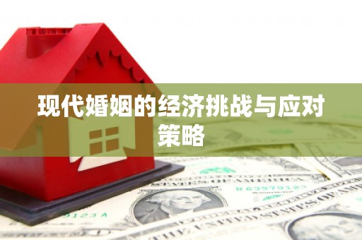 进贤现代婚姻的经济挑战与应对策略