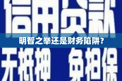 进贤明智之举还是财务陷阱？
