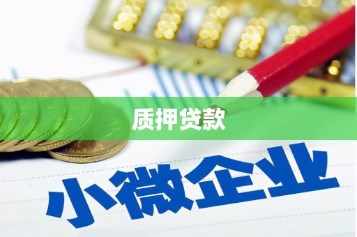 进贤质押贷款