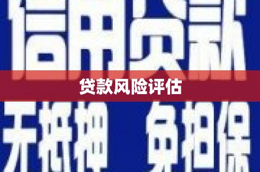 进贤贷款风险评估