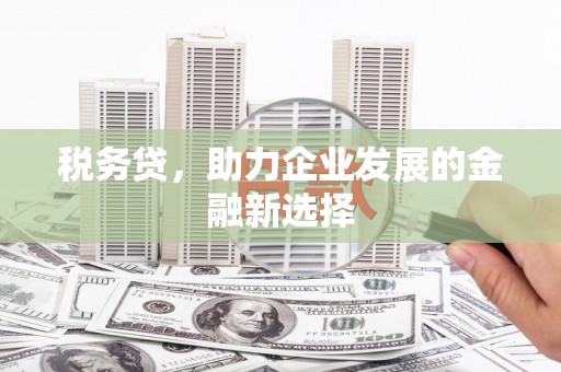 进贤税务贷，助力企业发展的金融新选择