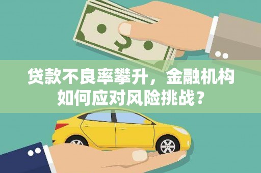 进贤贷款不良率攀升，金融机构如何应对风险挑战？