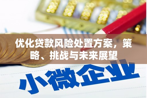进贤优化贷款风险处置方案，策略、挑战与未来展望