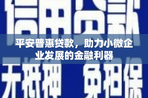 进贤平安普惠贷款，助力小微企业发展的金融利器
