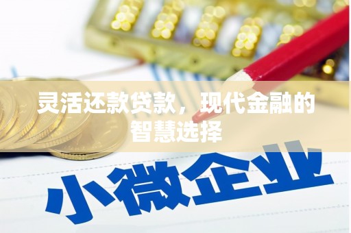 进贤灵活还款贷款，现代金融的智慧选择