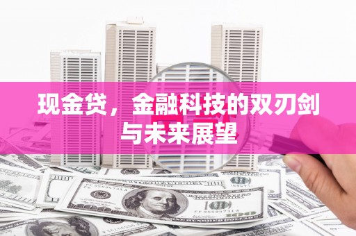 进贤现金贷，金融科技的双刃剑与未来展望